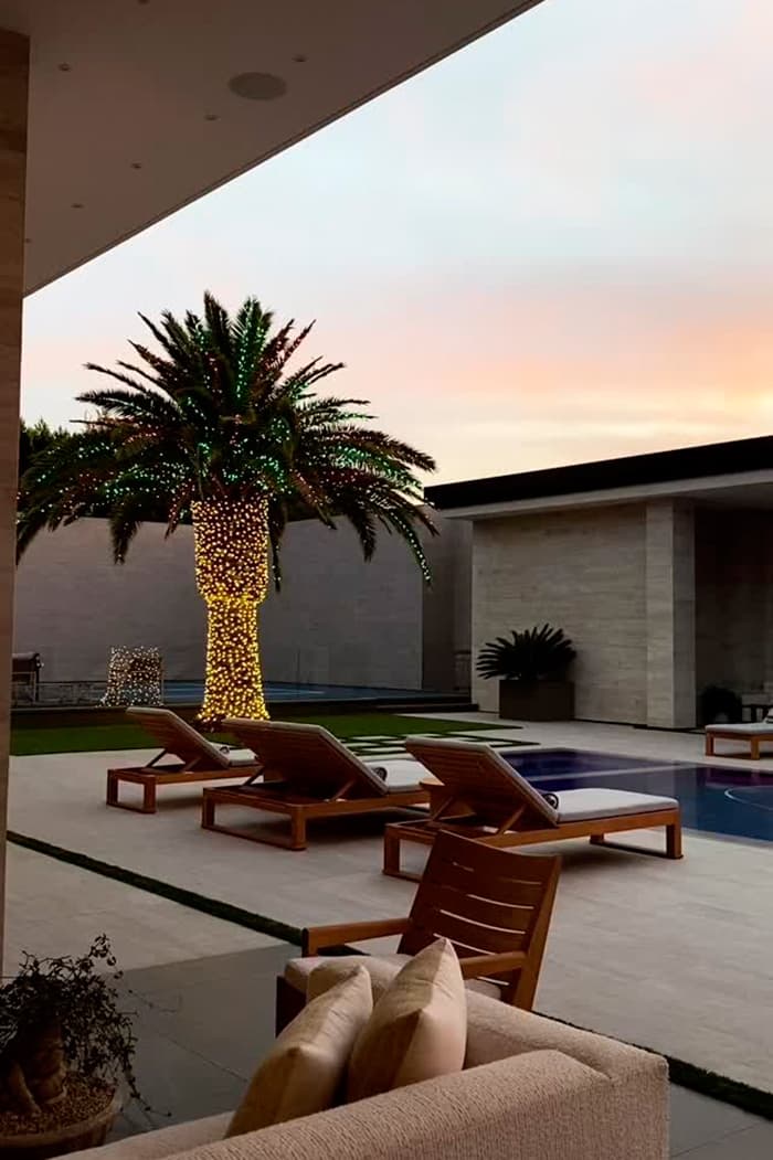 Su elección abarcó incluso los troncos de la palmera junto a la piscina.