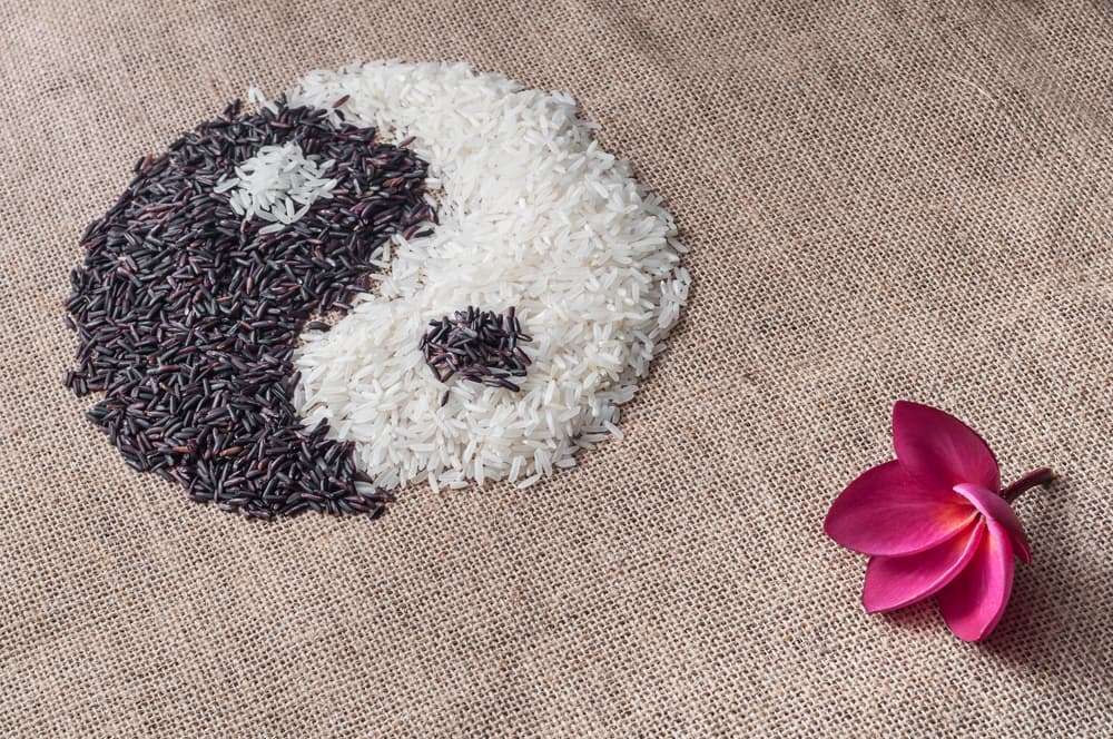 En la comunicación con los demás, yang nos suelta la lengua y yin la controla. Hay gestos yang, y gestos yin, ropas y estilos de vestirse, calzado y prendas yang y yin. Generalmente las formas ostentosas son yang y las más modestas son yin. Un concierto de música rock sería yang mientras que un concierto de piano clásico sería yin. ¿Cómo te consideras, yin o yang?