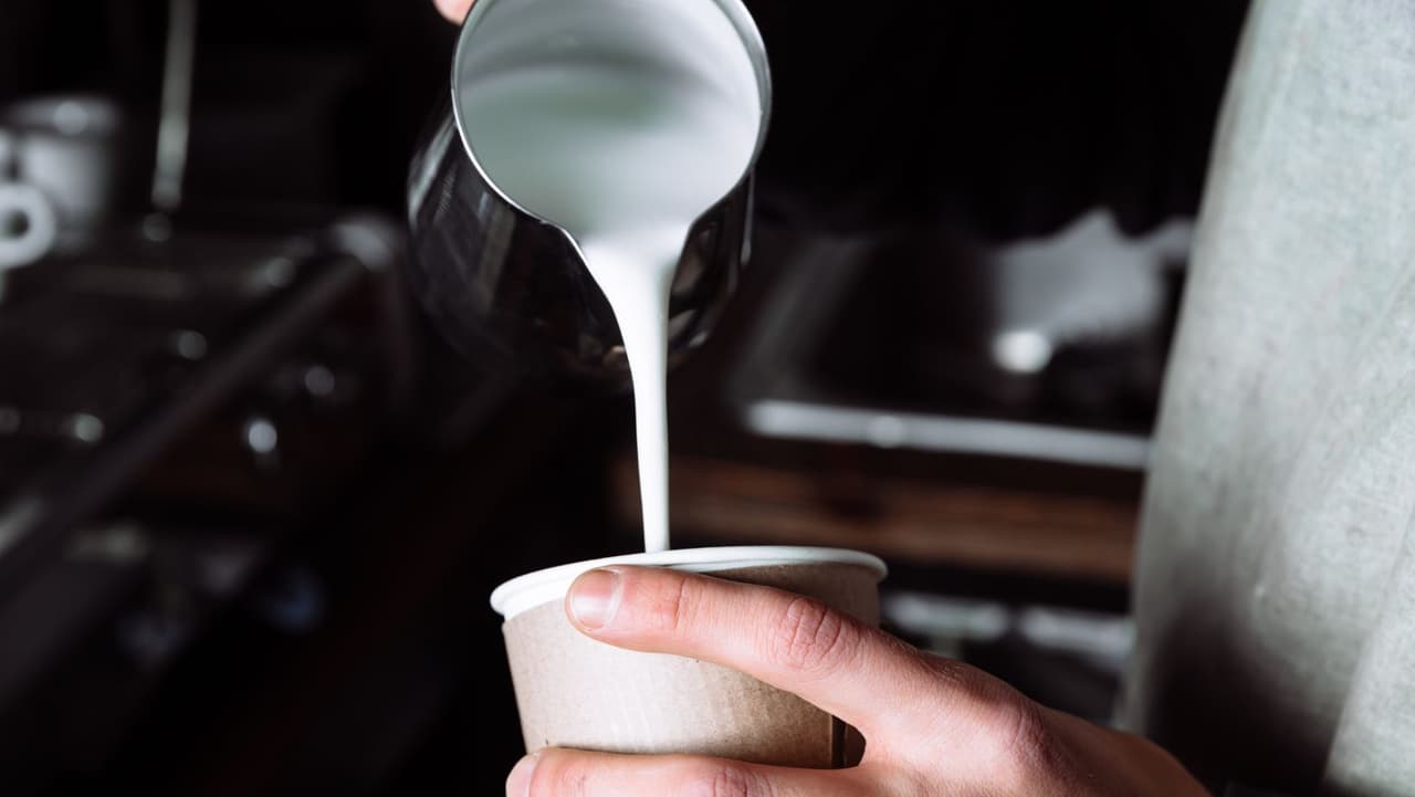 <b>Leche tibia: </b>Parece demasiado simple para ser verdad, pero un
<b> vaso de leche tibia</b> puede ser tan efectivo para ayudar a los adultos a conciliar el sueño como lo es para un bebé. La leche contiene 
<b><a href="https://www.healthline.com/nutrition/tryptophan" target="_blank">triptófano</a></b>, que es el mismo ingrediente del pavo que te da sueño después de la cena de Acción de Gracias. Un vaso puede ser suficiente para regresar al país de los sueños y dejar de contar ovejas.