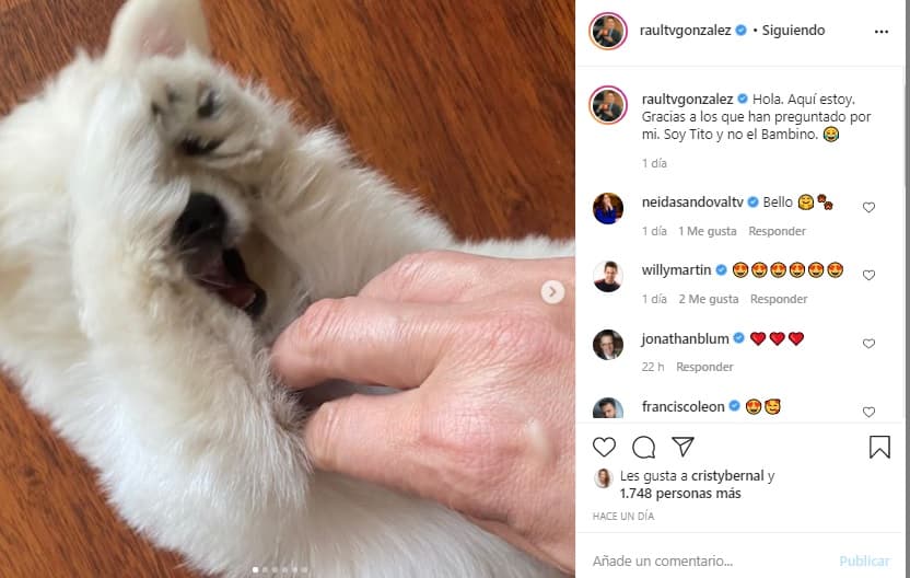 Raúl no pierde el sentido del humor y en las redes sociales aclaró que la mascota es "Tito y no el Bambino", refiriéndose al cantante del género urbano.