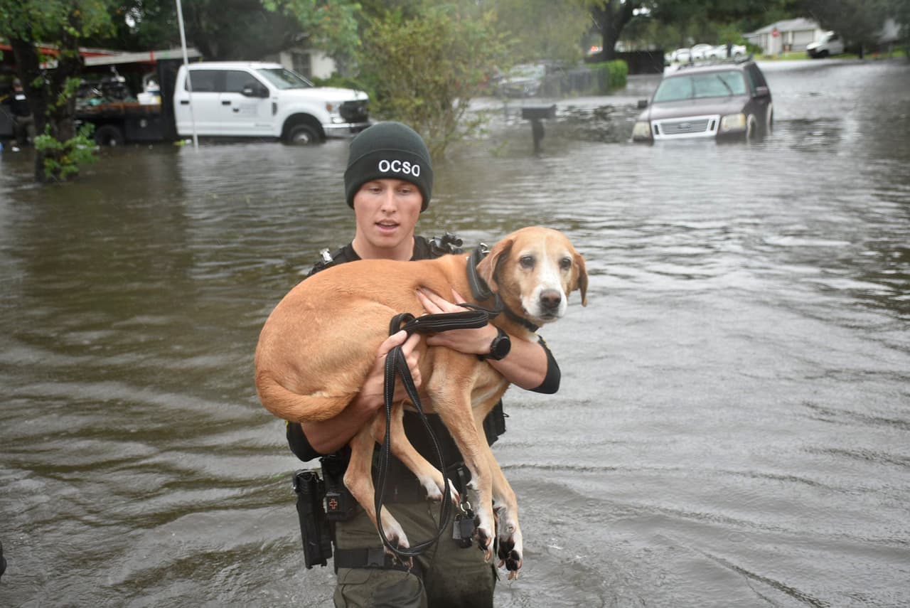 Los funcionarios también ayudaron a rescatar a las mascotas de los residentes afectados por las inundaciones.