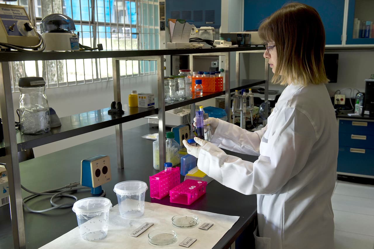 En consecuencia el gobernador indicó a todas las agencias, que rompan sus relaciones de prueba del coronavirus con Quest de inmediato.