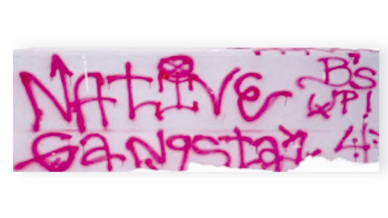 <b>Nativos Estadounidenses. </b>La actividad de estas pandillas comenzó a finales de los 80 en las reservas indígenas del noroeste del país y se propagó a las correccionales estatales y federales. Aunque en los últimos años las bandas nativas se han organizado, la mayoría de estos grupos son pequeños, autónomos y sin líder, tanto en las calles como en prisión. 'Mafia Nativa', 'Sociedad Guerrera' y 'Fraternidad India' son algunos de los grupos, compuestos principalmente por jóvenes entre los 12 y 19 años de edad. Algunos de sus miembros han cometido delitos contra la propiedad, narcotráfico y otros crímenes. Se identifican con símbolos clásicos de las pandillas, a veces escondidos en figuras tradicionales indígenas.