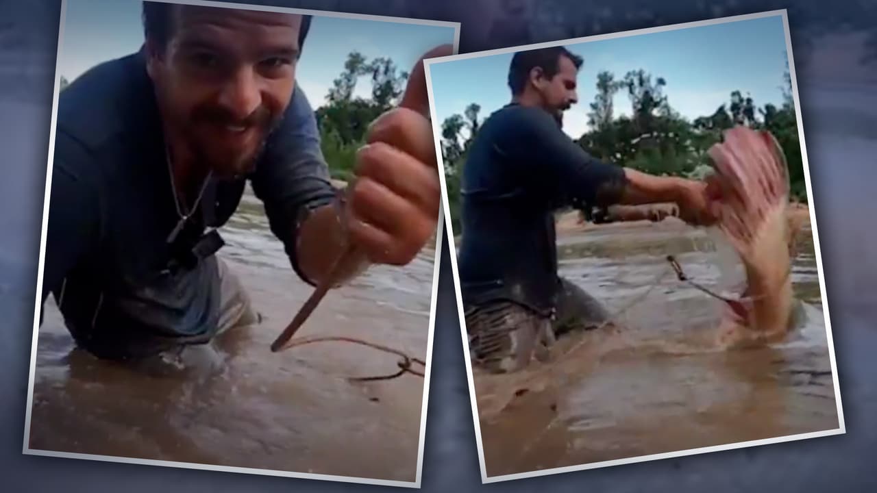 Payton Moore, un pescador dedicado a compartir sus experiencnias con el mundo con fines educativos, tuvo un momento no solo histórico, sino 
<b><a href="https://www.univision.com/local/houston-kxln/pescador-texas-capta-video-dinosaurio-marino-pez-gigante-boca-caiman" target="_blank">prehistórico al encontrarse con un pejelagarto. </a></b>
<br>