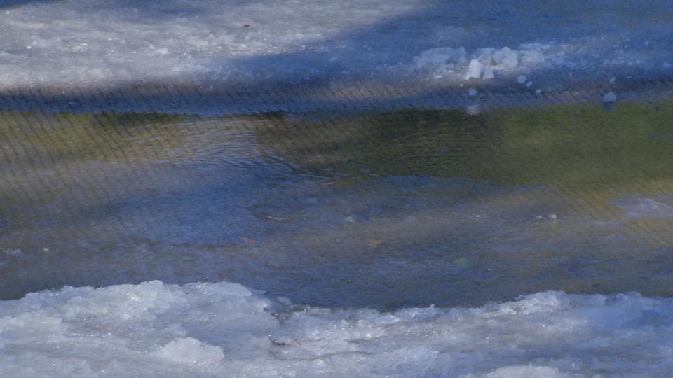La fuga de agua de un edificio abandonado en la calle Shepherd en Houston hizo que se congelara el pavimento.