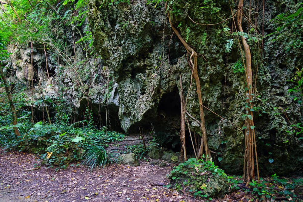 Este parque está compuesto de veredas, cuevas y otros sitios de interés para el turismo. Según la leyenda local, el lugar fue construido por la diosa de la creación, Amamikiyo. Sus visitantes aseguran que cuenta con una energía muy particular.