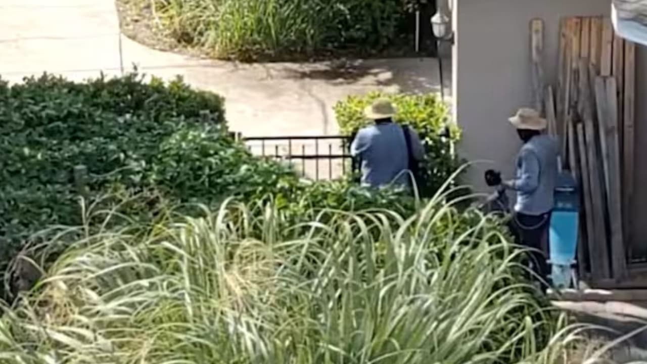 Detienen a banda de robo de viviendas que instalaban cámaras para vigilar a sus víctimas