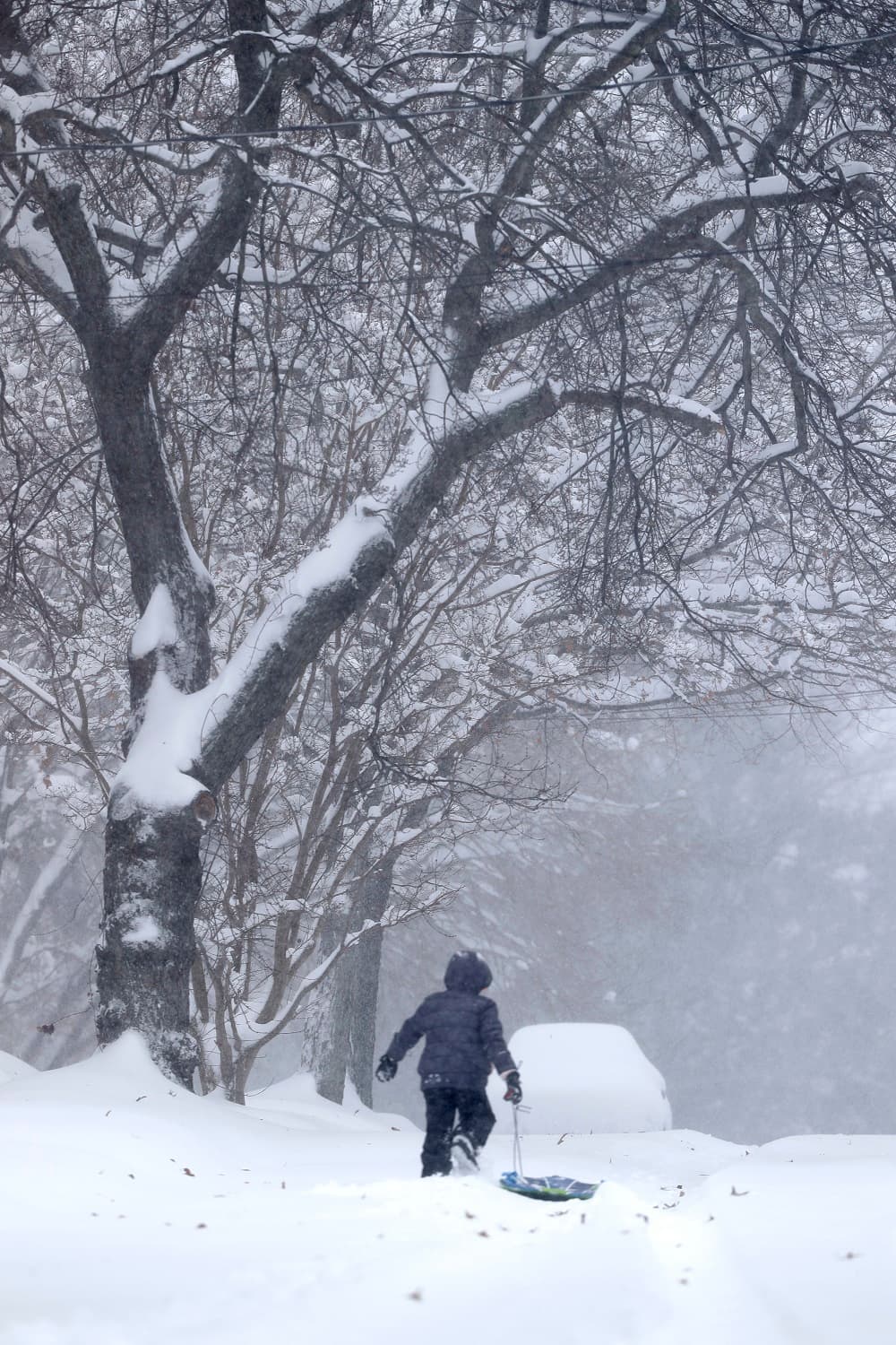Agencias policiales en Carolina del Norte y Virginia indicaron que para el domingo en la tarde ya habían atendido centenares de accidentes viales relacionados con la nieve. El gobernador de Carolina del Norte, Roy Cooper, exhortó el domingo a los habitantes a no conducir para no poner en peligro la vida del personal de emergencias en forma innecesaria. Medios locales indicaron que ya han muerto al menos cuatro personas. En la imagen, un niño lleva su trineo en Greensboro, Carolina del Norte.
<br>