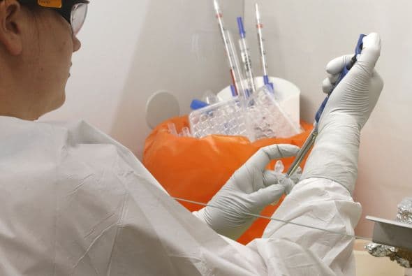 Según el estudio, las heces humanas curan mejor que un antibiótico. 