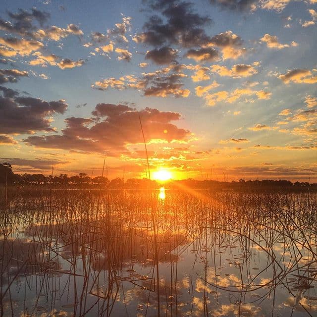 Con estos paisajes seguro la están pasando de maravilla.