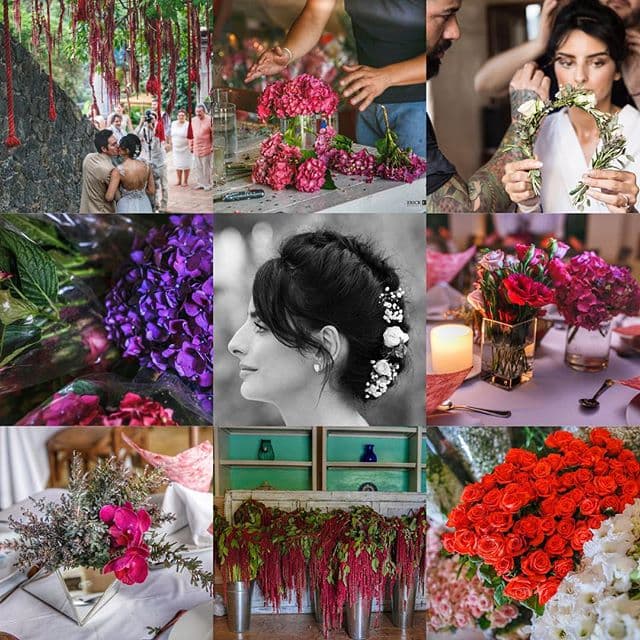 Después de haber disfrutado de una boda de ensueño, Aislinn y Mauricio se embarcaron en una nueva aventura.