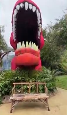 La curiosidad de esta persona se presentó horas después que Kim Kardashian mostrara el
<b><a href="https://www.univision.com/famosos/kim-kardashian-manda-a-construir-un-jurassic-park-para-celebrar-los-4-anos-de-su-hijo-saint-video" target="_blank">parque jurásico</a></b> que mandó a construir para festejar el cuarto cumpleaños de su hijo Saint West.