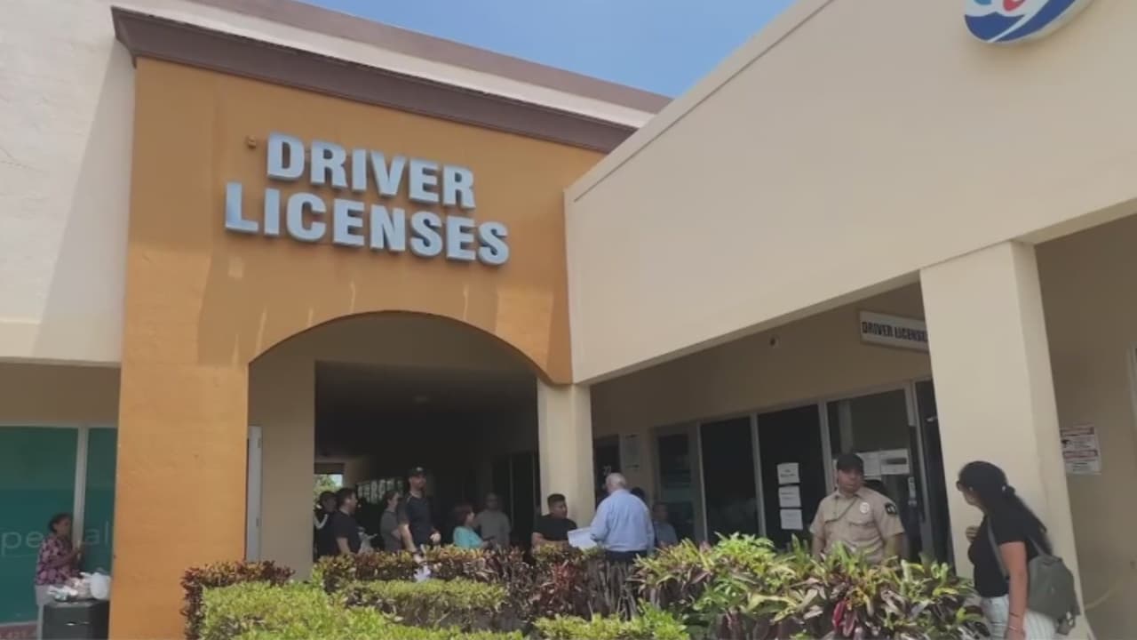 Inmigrantes de Florida sin estatus permanente tendrán que renovar sus licencias anualmente