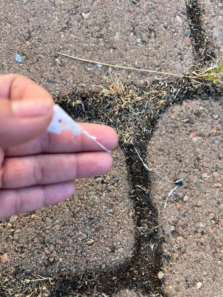 Este fenómeno ha despertado la imaginación de muchos, evocando escenas de películas de terror.