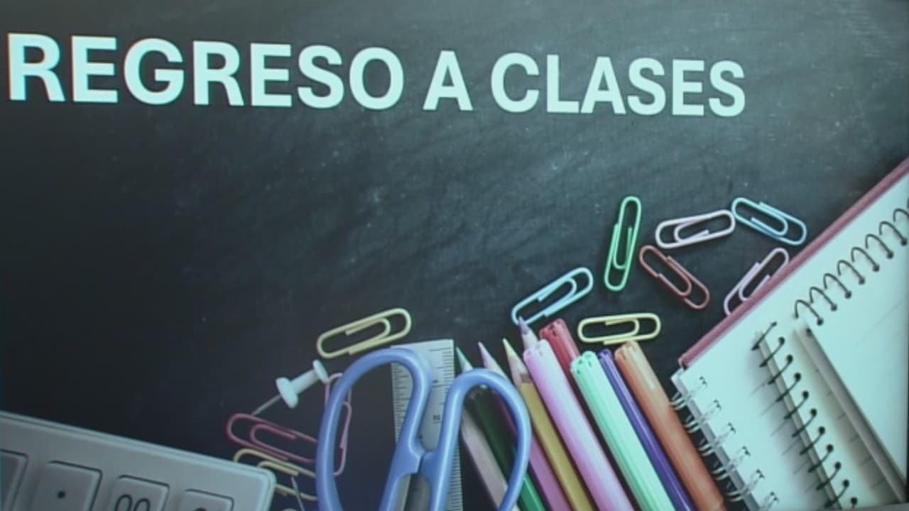 Así puedes ahorrar dinero al comprar los útiles escolares de tus hijos, además de ayudar al planeta