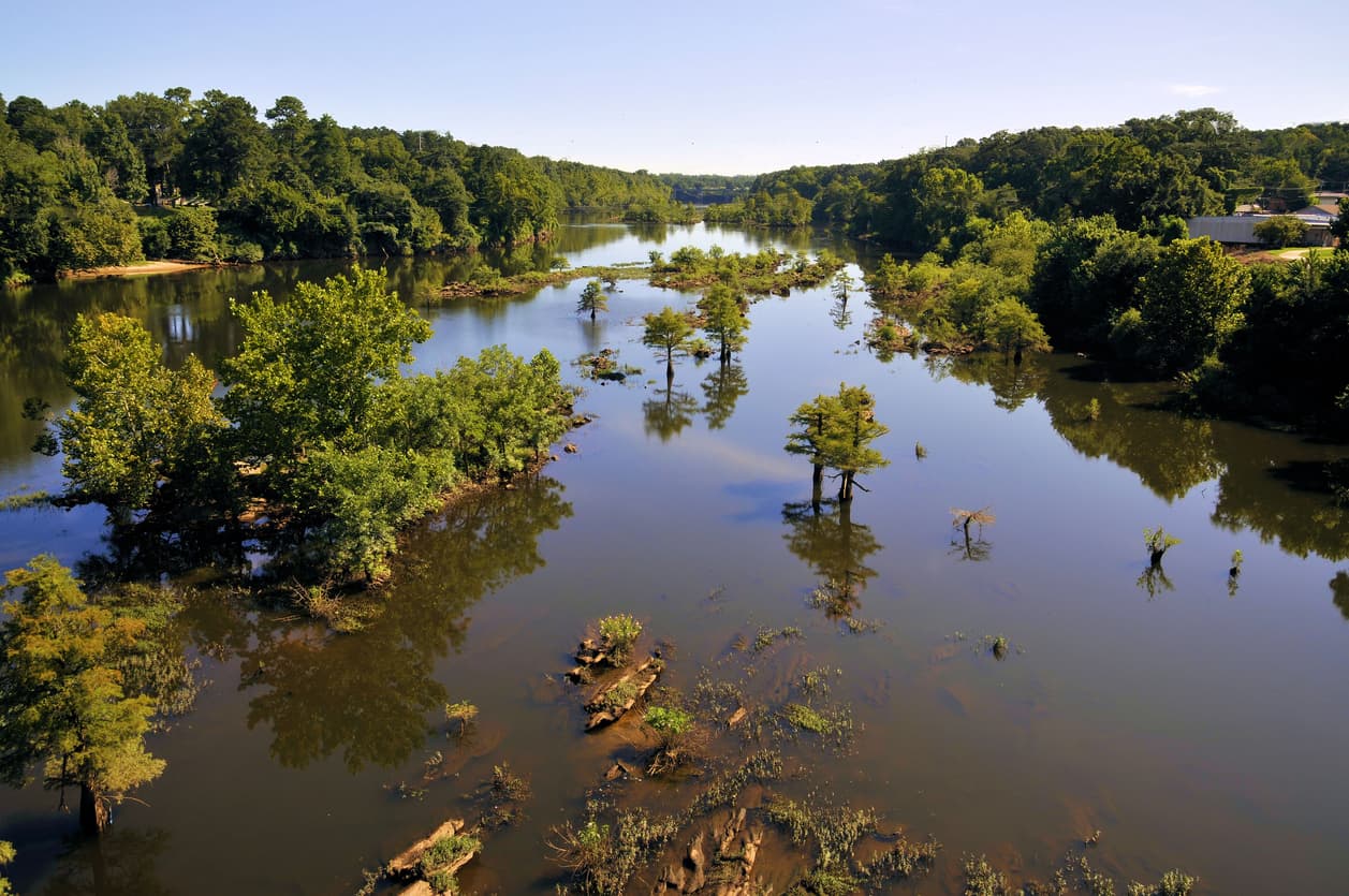 <b>5. Río Coosa (Alabama y Georgia): </b>La contaminación industrial y de la agricultura están amenazando la salud pública, el agua potable y el hábitat de fauna silvestre alrededor del río Coosa. "Millones de toneladas de heces de miles de millones de pollos son una gran amenaza para el suministro de agua potable del río Coosa y la salud general del ecosistema", expone el informe y plantea la necesidad de resolver los vacíos legales en el transporte, la aplicación en tierra, el cumplimiento y la manipulación ambientalmente responsable de esos residuos.