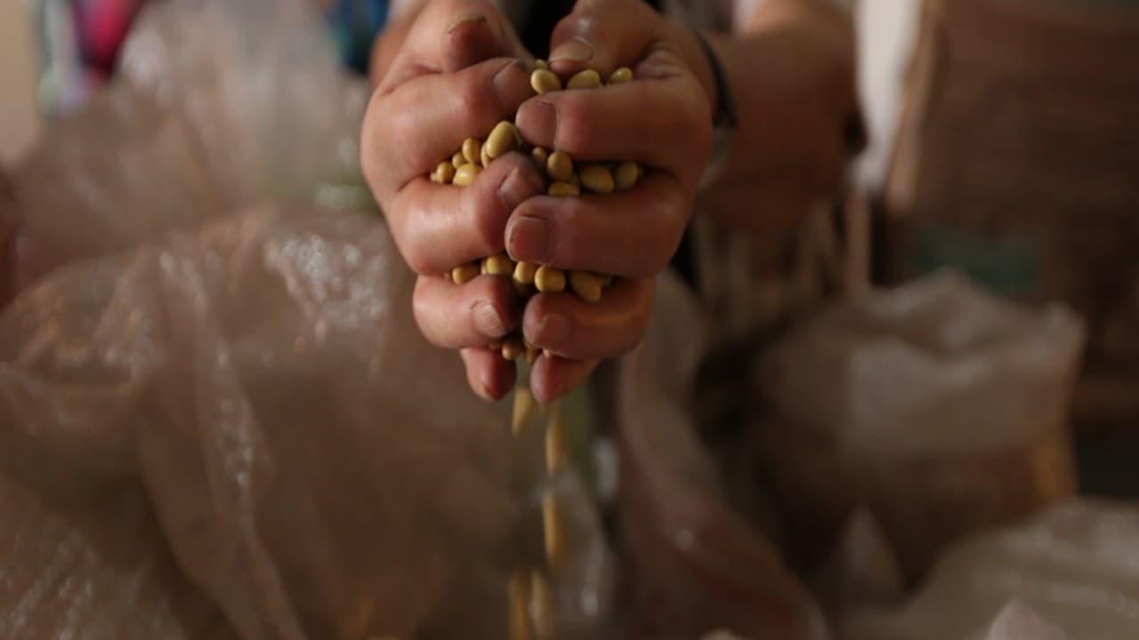 Habitantes y comerciantes de la Ciudad de México comienzan a usar una moneda distinta al peso: el 'túmin'