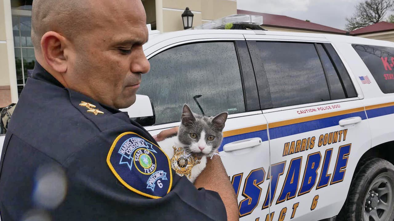 Así de alerta y enfocada, la nueva agente recibió la bienvenida de sus compañeros del precinto 6. No te pierdas el final.