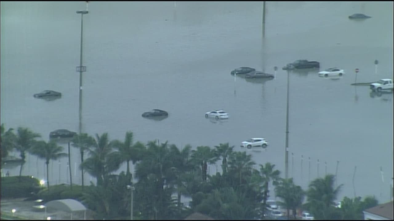 El Gulfstream Park Racing and Casino en Hallandale Beach fue uno de los lugares que más sufrió con las inundaciones y los caballos tuvieron que ser removidos de los establos. 
<br>