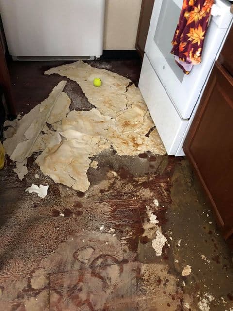 La dueña afirma que todos sus pertenencias fueron perdida total.