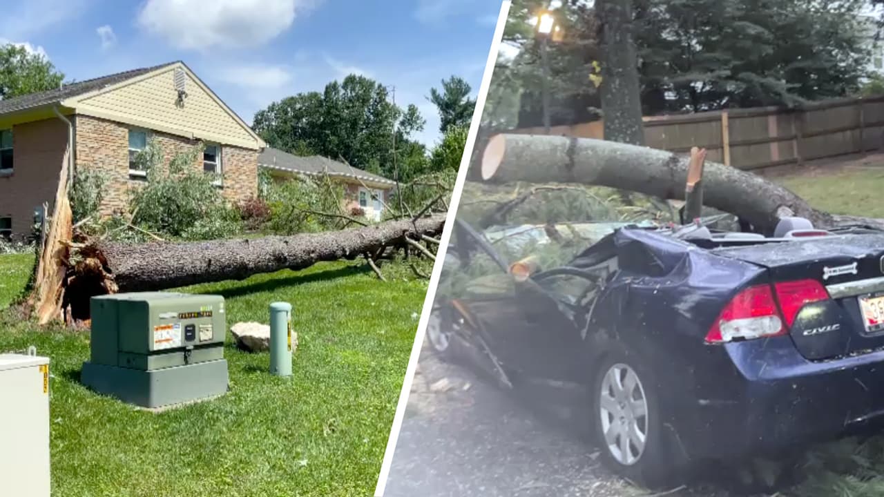 Tormenta en Olney, MD, deja familias desplazadas, árboles caídos y casas y autos dañados