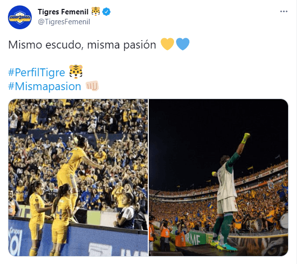 Tigres Femenil