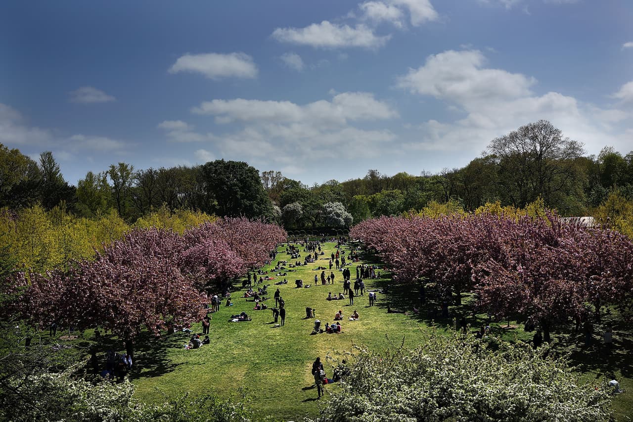 Tienes la oportunidad participar de este evento único en la vida.