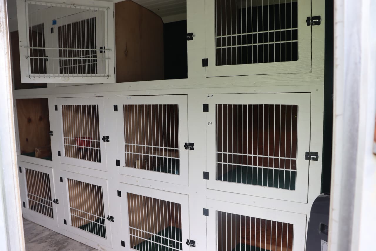 En una zona del terreno, en el 1009 de Lawrence Road, había estas jaulas o rejones, en las que los gallos eran puestos antes de cada pelea, según el equipo de investigadores.