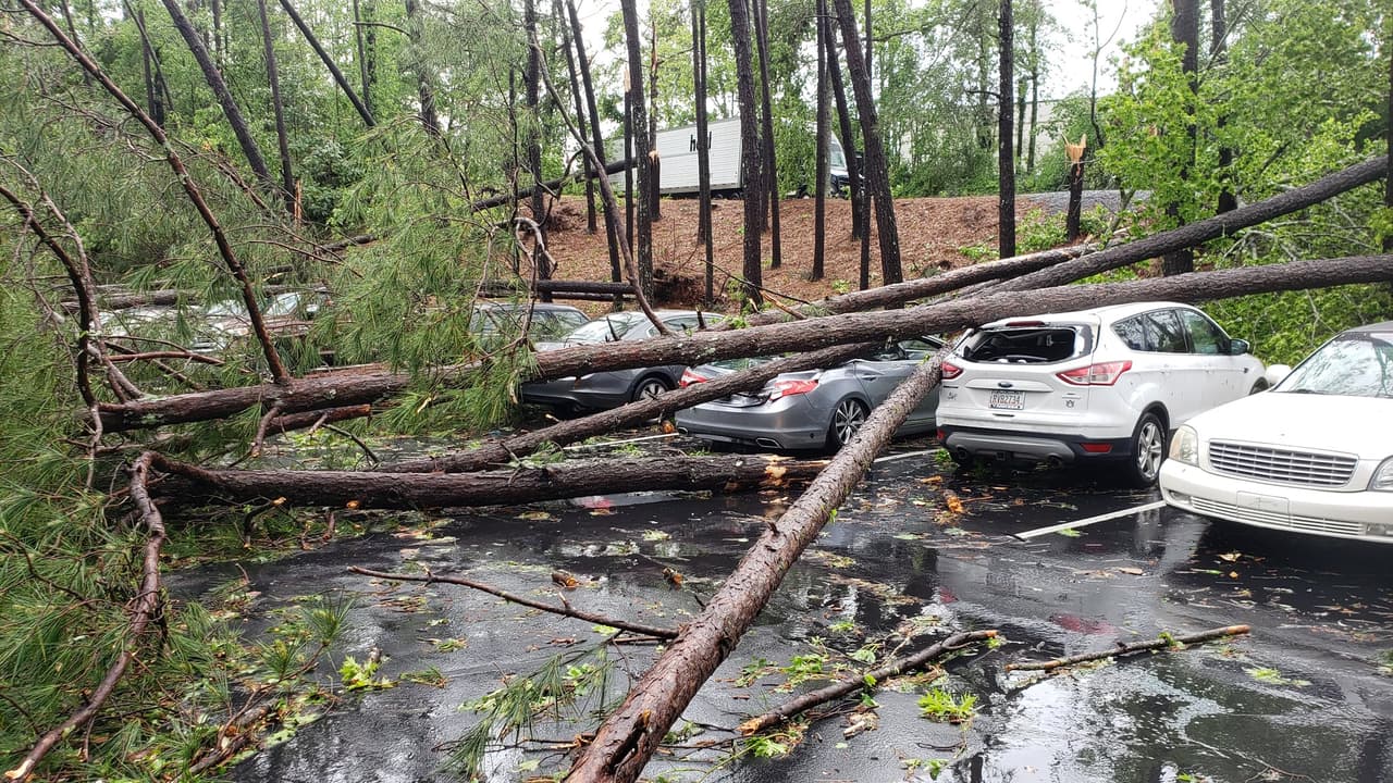 La caída de árboles causó daños a varios vehículos.