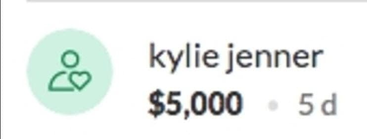 De acuerdo con los registros de la plataforma, la empresaria 
<b><a href="https://www.univision.com/famosos/kylie-jenner-gastaria-entre-300-mil-y-400-mil-al-mes-para-pagar-su-seguridad-y-la-de-su-hija-stormi-fotos" target="_blank">colaboró con 5 mil dólares</a> </b>para la causa.