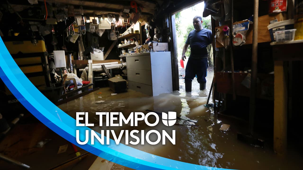 Arizona: Estos son los números de emergencia que debes tener a la mano durante el monzón