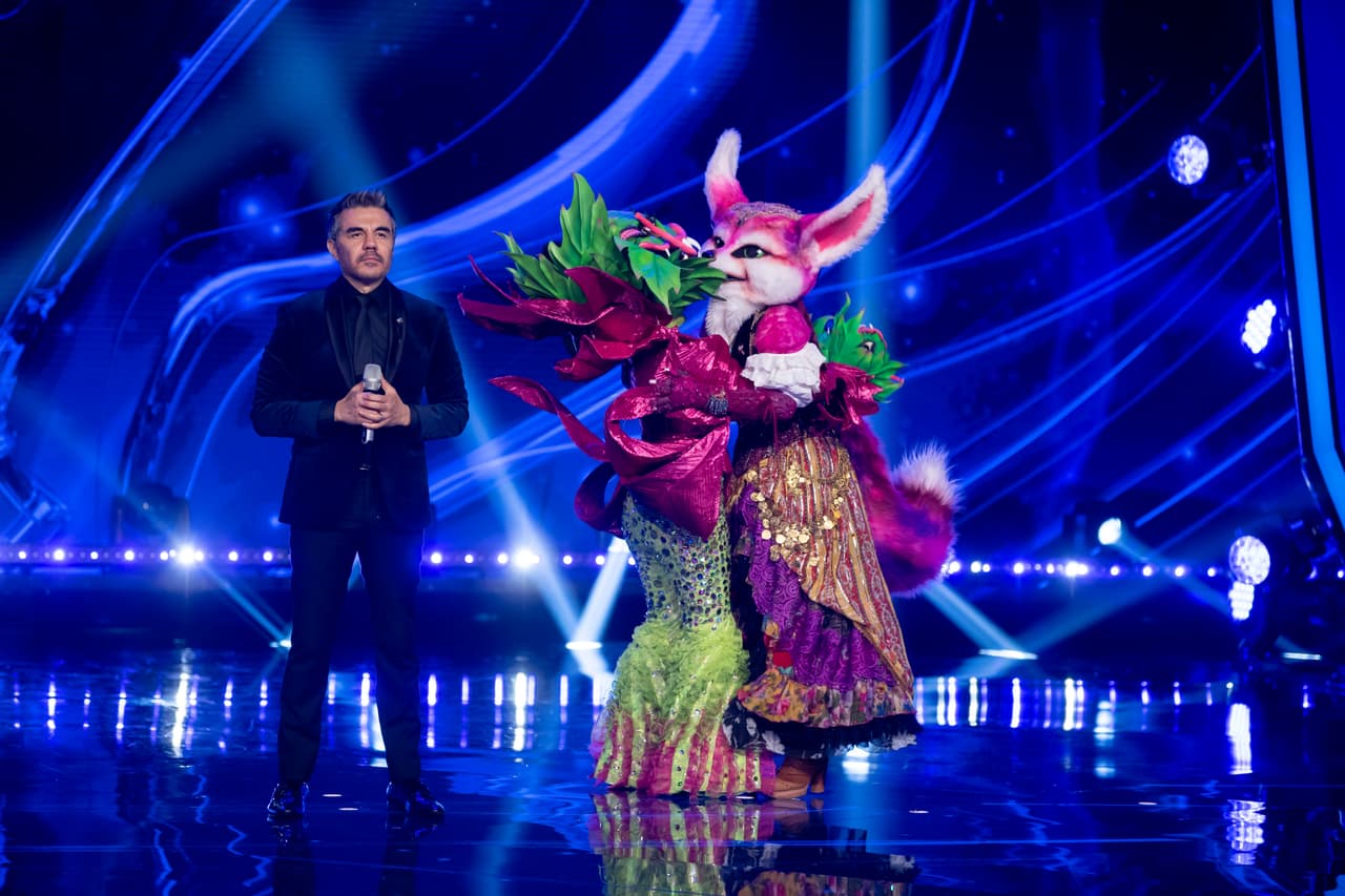 Tras el triple combate, 'los investigadores' salvaron a Perezoso. El público votó y salvó a Gitana, por lo que Carnívora quedó en zona de riesgo.