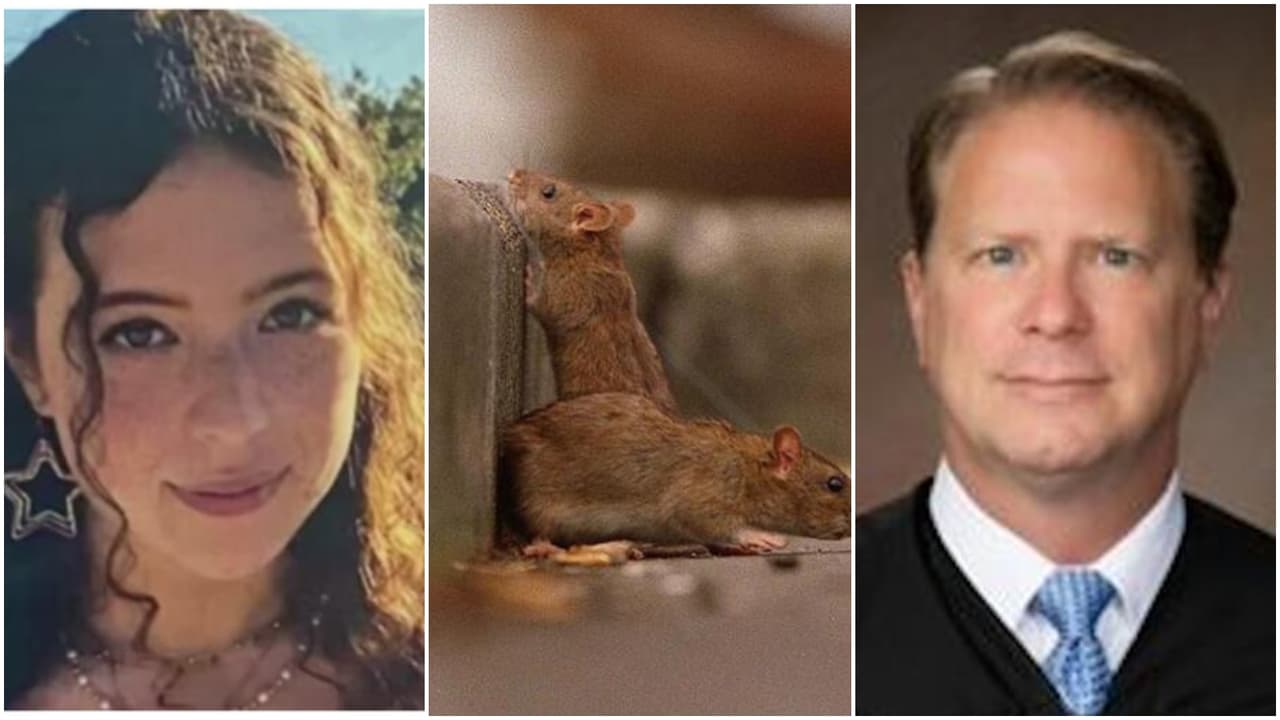 La semana en video: joven muere tras beber limonada de Panera Bread y la ciudad de EEUU con más ratas 