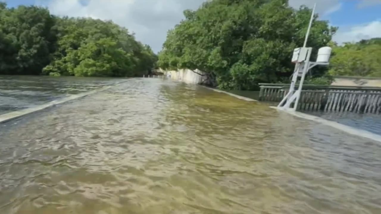 Inundaciones y oleaje peligroso: así lucen las costas del sur de Florida afectadas por la Marea Real