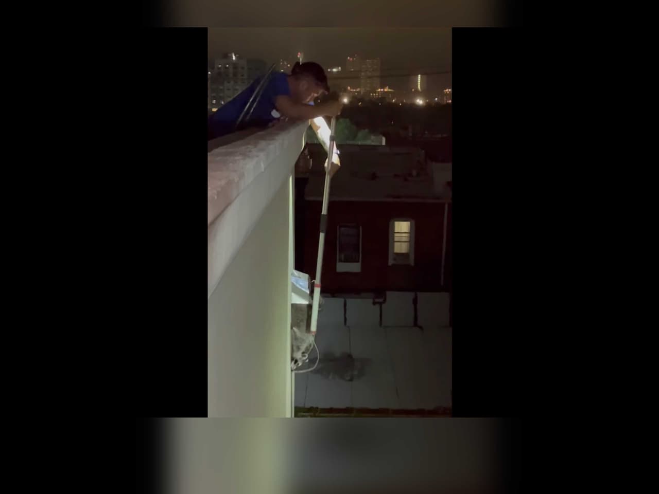 "Tu serás bendecido": hombre sube 75 pies de altura para rescatar a un mapache en Nueva York