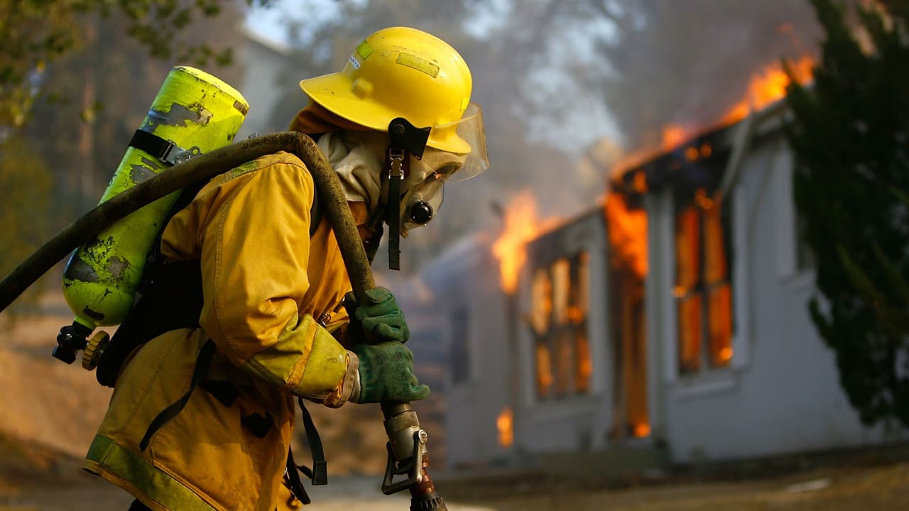 Consejos de los bomberos para evitar incendios o emergencias mientras cocinas el pavo en el día de Acción de Gracias