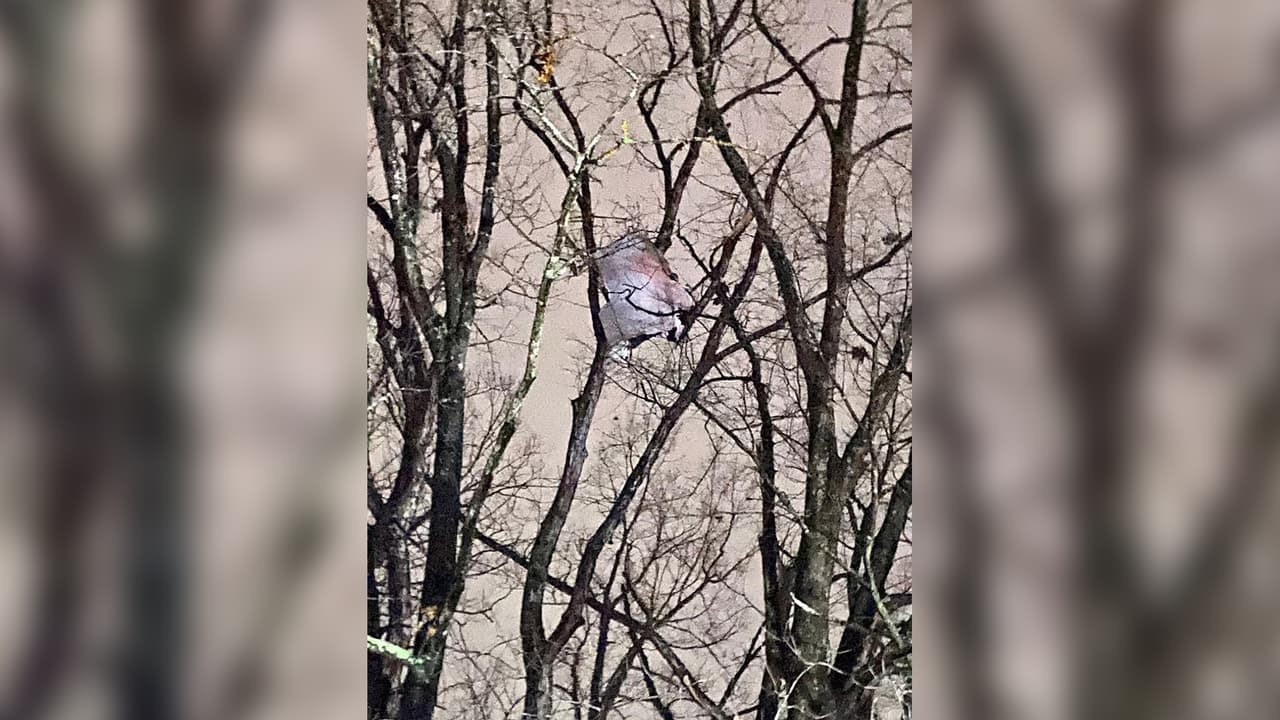 Los restos de la avioneta quedaron esparcidos por toda el área.