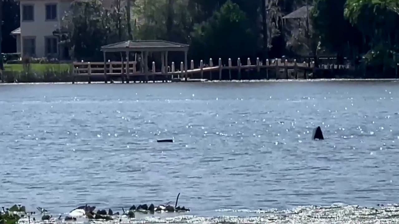 Buscan a menor desaparecido en el lago Jessamine en Orlando; vecinos relatan últimos minutos