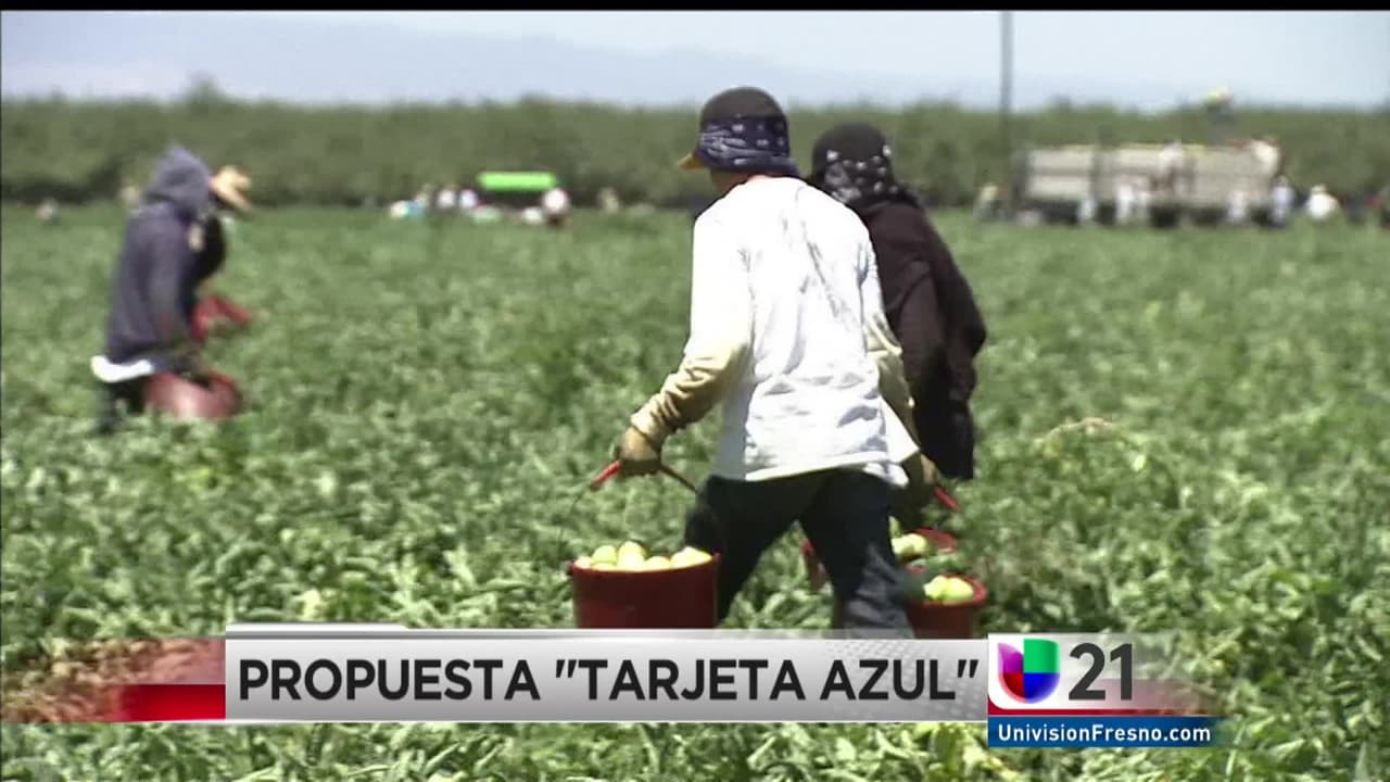 Propuesta de la Tarjeta Azul