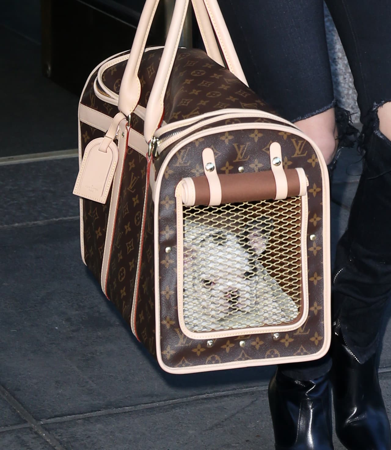 Mencionó que todavía no sabía cómo ponerle, aunque mientras le llama "Cowpig" o "Moopig".