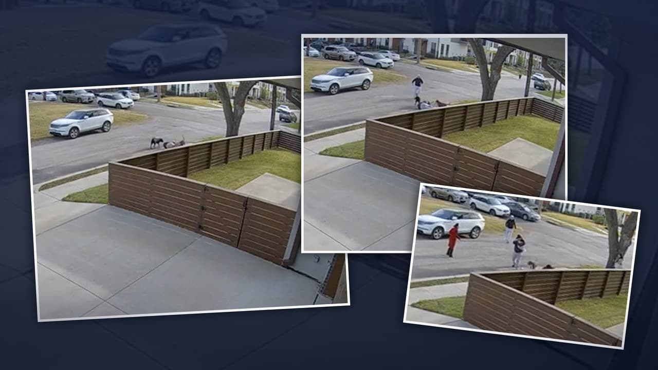 Jauría de perros sueltos atacan a un hombre y su perro en un vecindario de Dallas