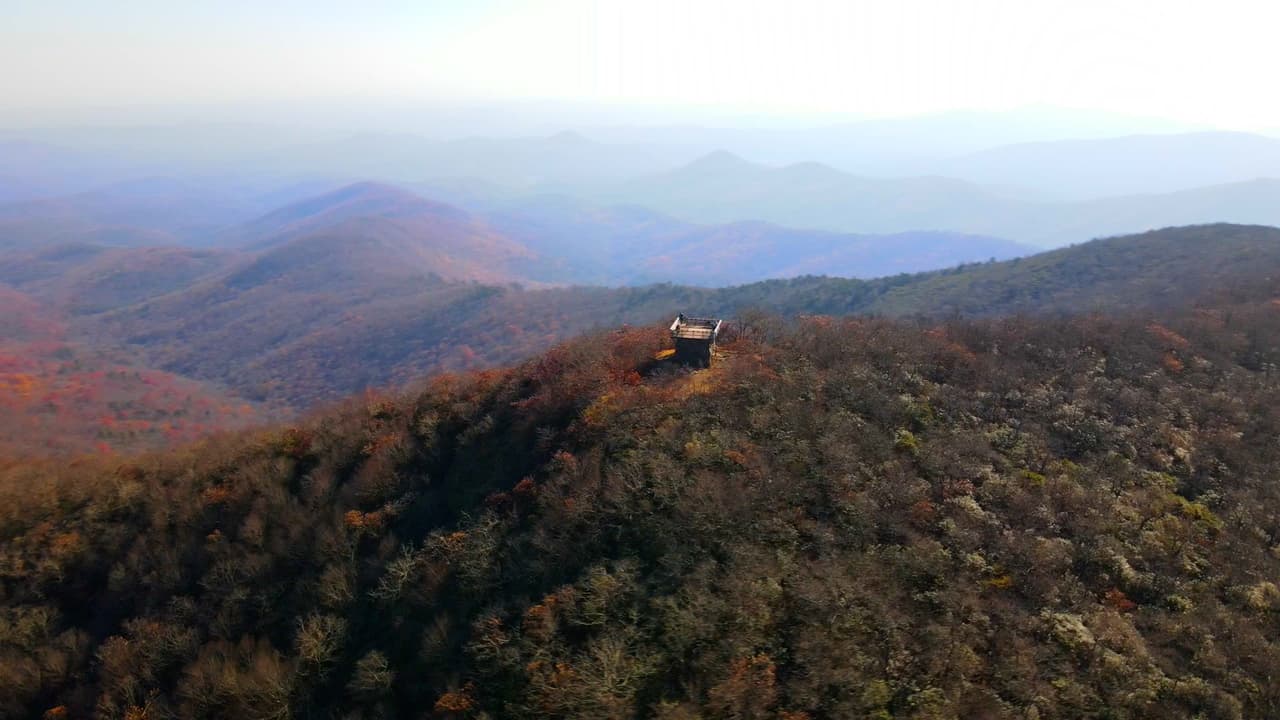 Rabun Bald se encuentra justo en la frontera entre Georgia y Carolina del Norte.