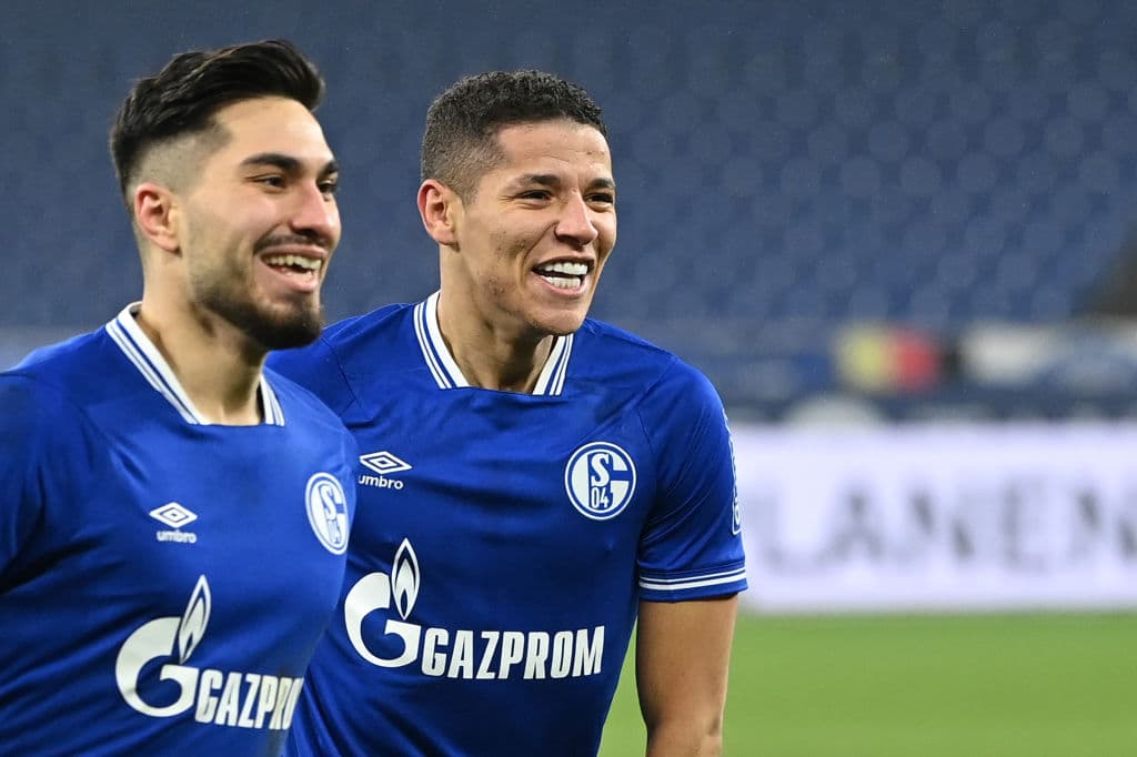 Schalke 04 goleó en casa al Hoffenheim 4-0. Schalke llegó a 7 puntos y busca desesperadamente salir de zona de descenso.