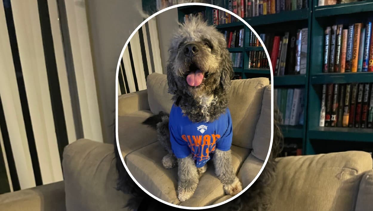 Policía de Los Ángeles dispara y mata al perro Jameson: donan más de $50,000 para exigir justicia 