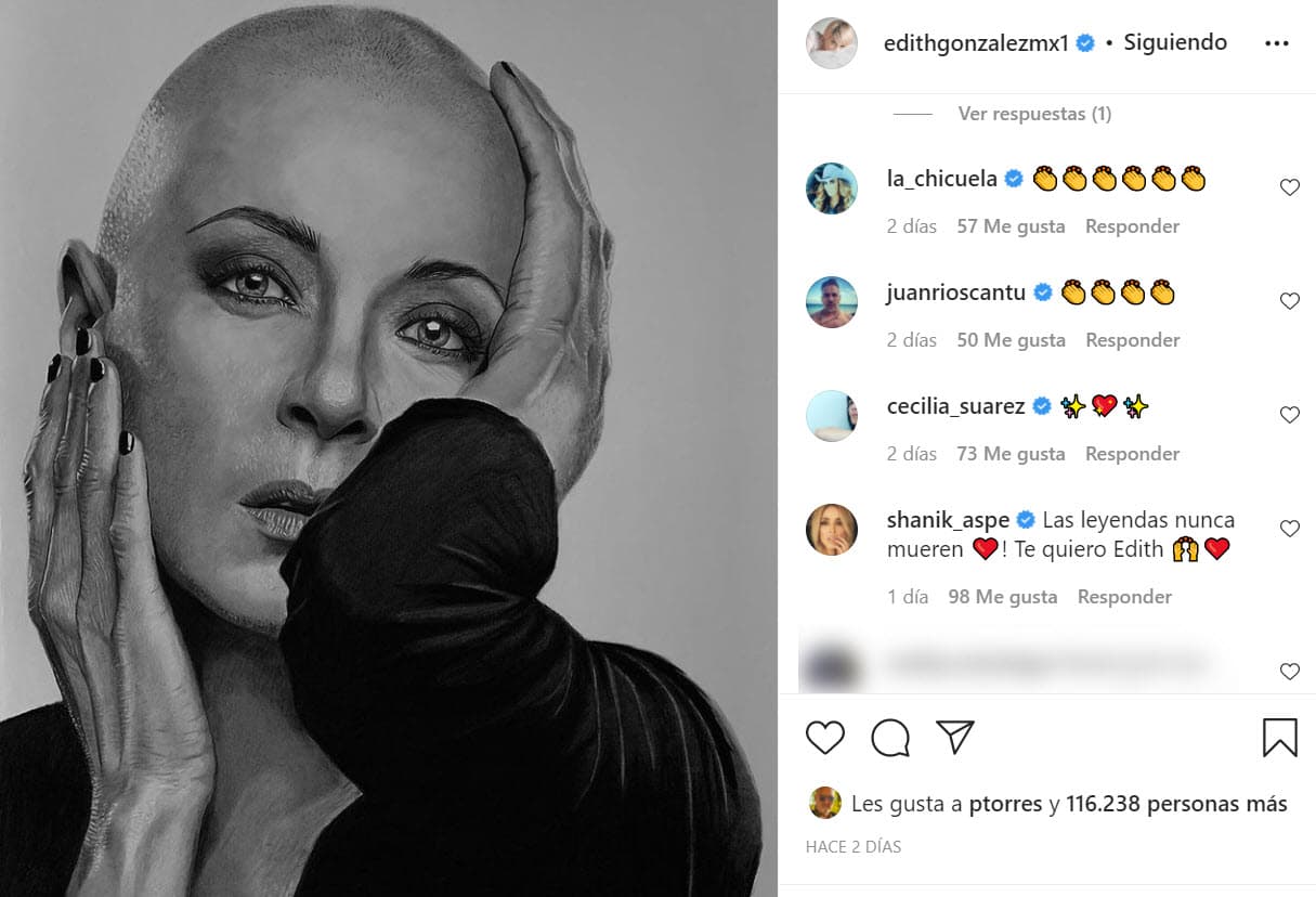 En Instagram 
<b><a href="https://www.instagram.com/p/CUd9RmilANy/" target="_blank">se compartió este retrato</a></b> que fue presentado el día del evento. El hermano de la actriz dijo que será Constanza la que decida el destino que tendrá ese cuadro. 
<br>