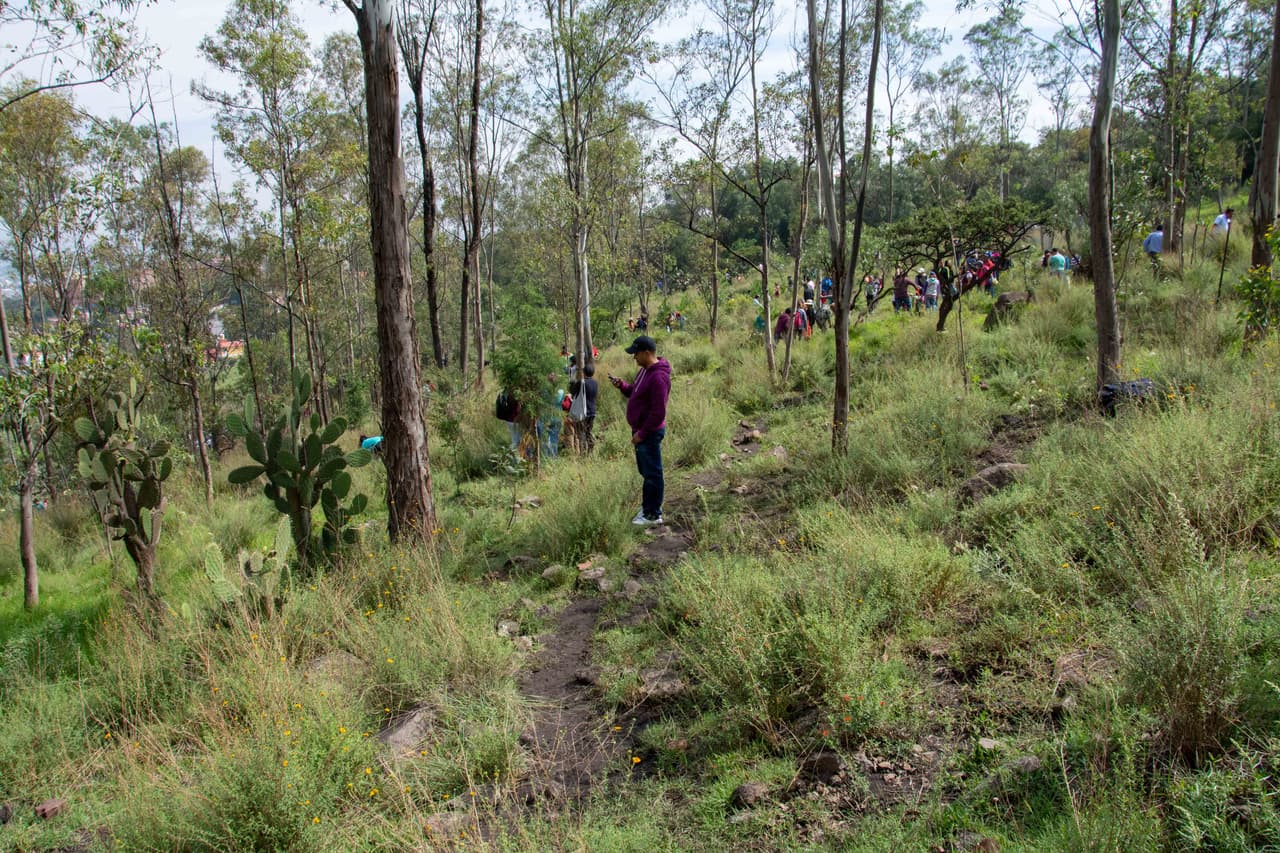 Con una extensión de 5,300 hectáreas, de las cuales el 24% se ubica en Coacalco, esta área natural puede considerarse el último pulmón de la zona, a pocos kilómetros de la Ciudad de México.