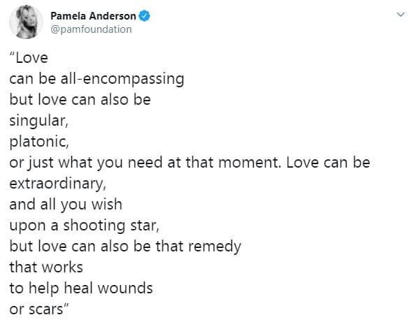 "El amor puede ser extraordinario y todo lo que desees, sobre una estrella fugaz. El amor también puede ser ese remedio que funciona para ayudar a curar heridas o cicatrices".