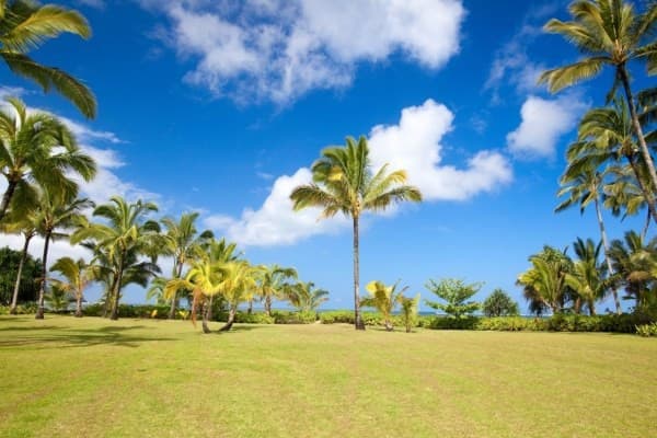 Si el exterior es de tu agrado, puedes surfear en las aguas de Hanalei o recorrer los senderos de Powerline. Si lo tuyo es estar en casa, los ventanales que permiten el paso de la luz serán de tu total agrado.