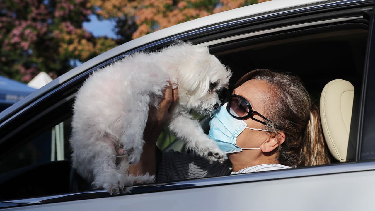 De acuerdo con los Centros para el Control y la Prevención de Enfermedades (
<a href="https://espanol.cdc.gov/coronavirus/2019-ncov/daily-life-coping/animals.html" target="_blank">CDC</a>) , el virus que causa el covid-19 puede transmitirse de personas a animales. Sin embargo, el riesgo de que las 
<b>mascotas propaguen el coronavirus a las personas es bajo.</b>