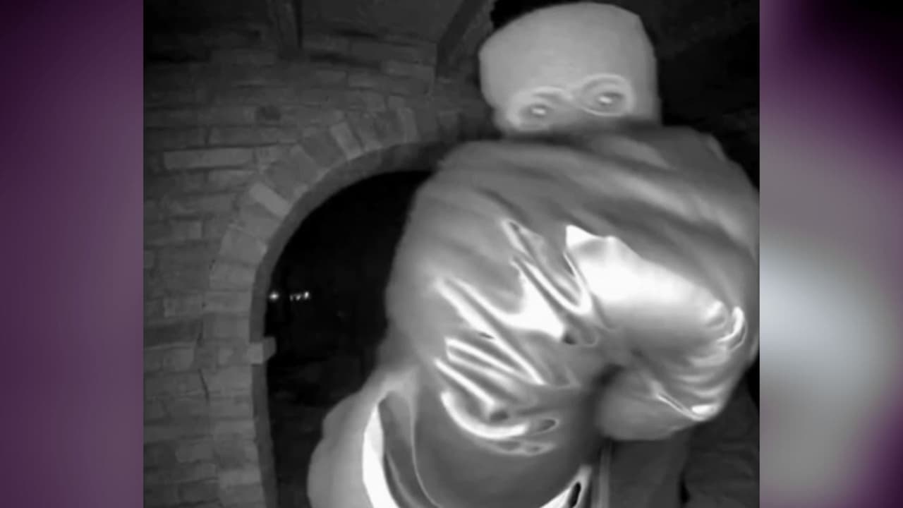 Caso Nancy Guthrie: Análisis imagen por imagen del posible sospechoso en casa de la madre de Savannah Guthrie